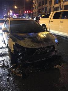 国产新车自燃视频,揭秘现代汽车安全隐忧