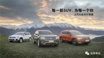 国产suv防撞视频教程,视频教程深度解析