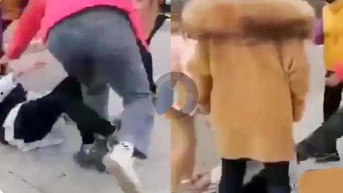 国产自卫学生视频图片,勇敢面对挑战，展现青春风采