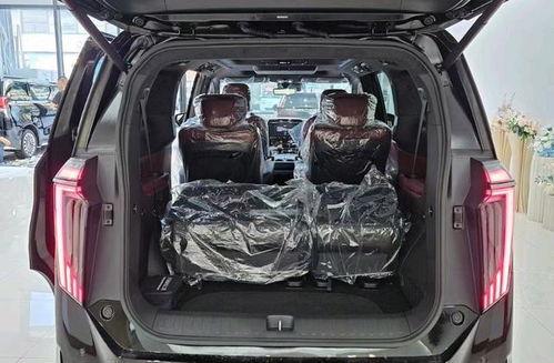 mpv视频国产,MPV视频国产生态发展综述