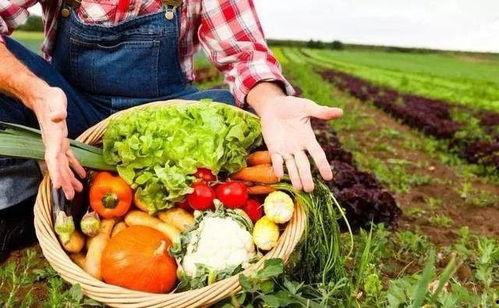 国产农产品视频大全